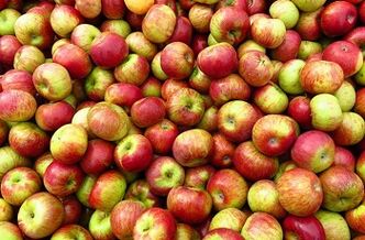 Jabučna dijeta za gubitak kilograma